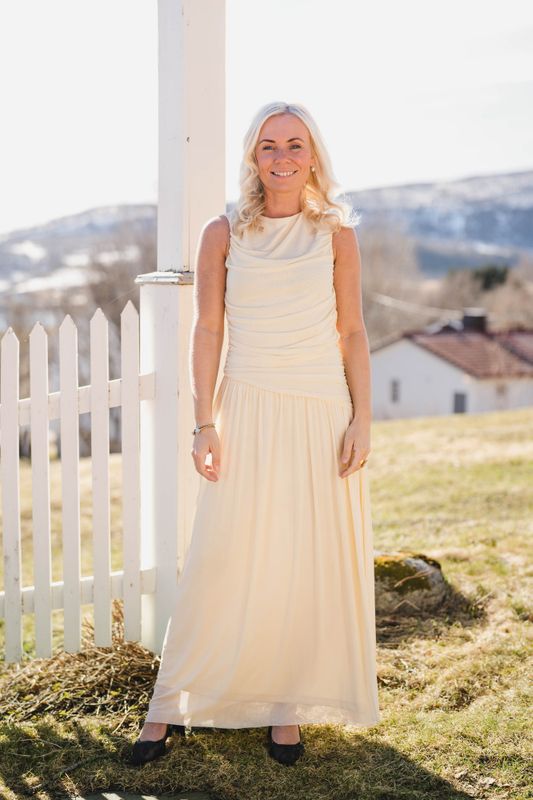 Cludine Mesh Dress Light Yellow 