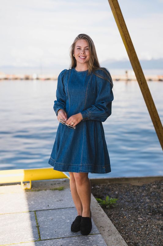 Denim Fitted Dress French Blue 