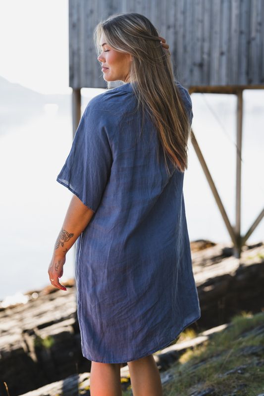 Ayla Dress Blue Indigo 