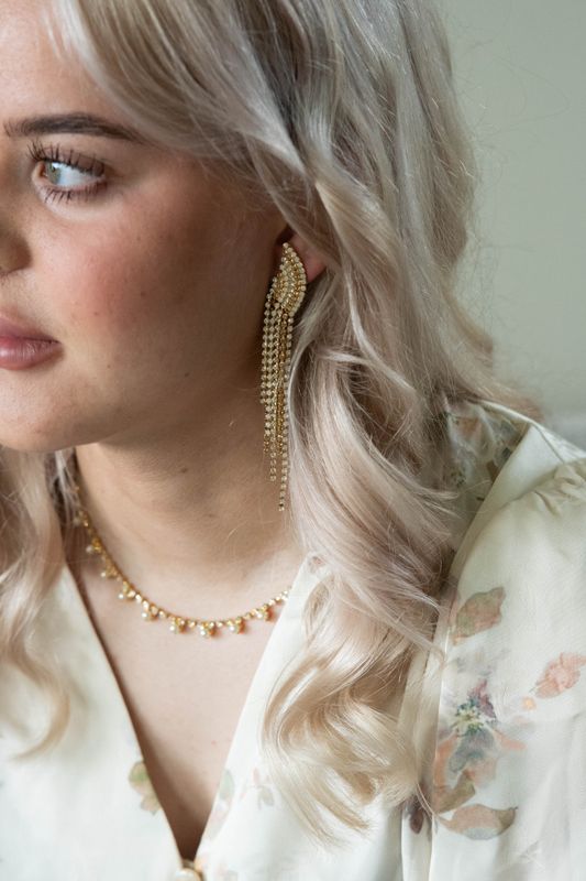 Diana Earrings Gold Golden Combo 