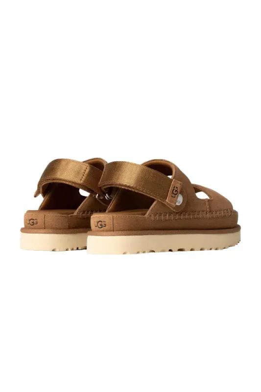 W Goldenstar Glide Chestnut 