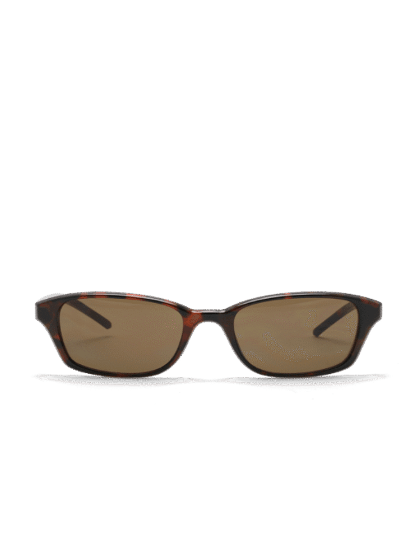 Chiara Tortoise 