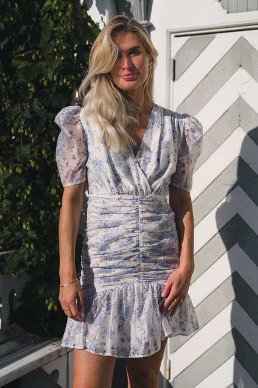 Jenna Mini Dress La Vie En Bloom 