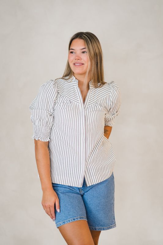 Diana Crepe Stripe Blouse Brown 