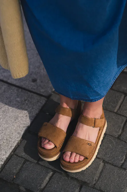 Hovedbilde W Goldenstar Chestnut 