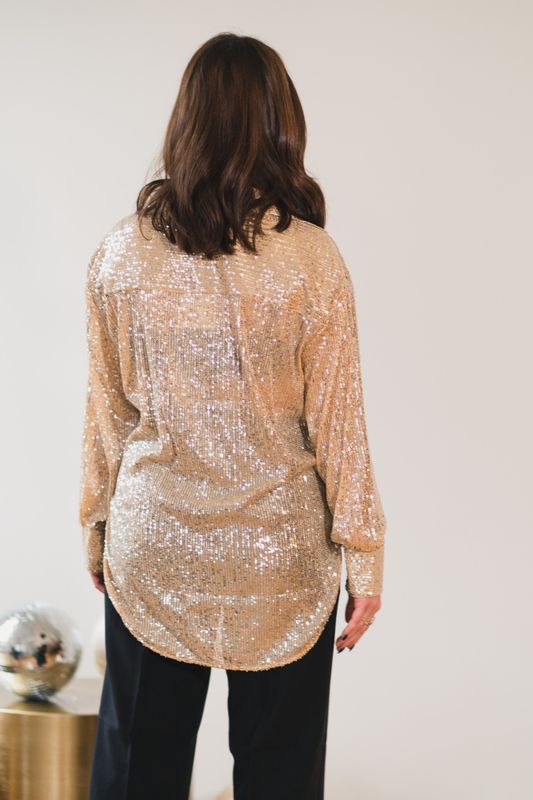 Shine On Blouse Silver 