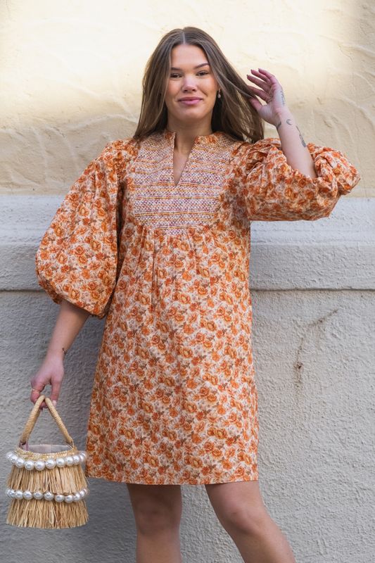 Elsa Dress Wallpaper 