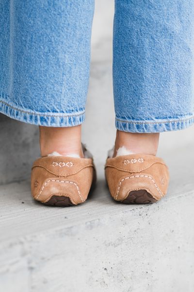 Hovedbilde W Ansley Chestnut