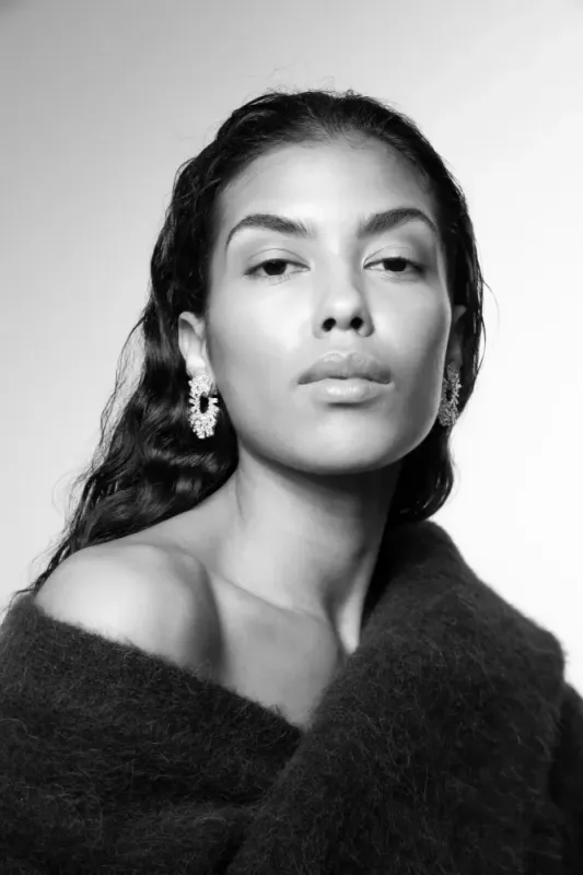 The Shimmering Earring Silver 