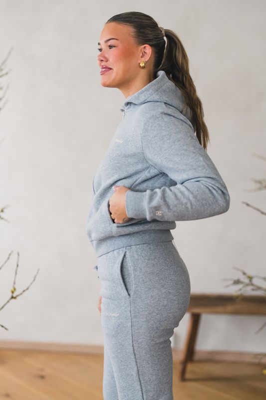 W Regular Zip Hoodie Grey Mix 