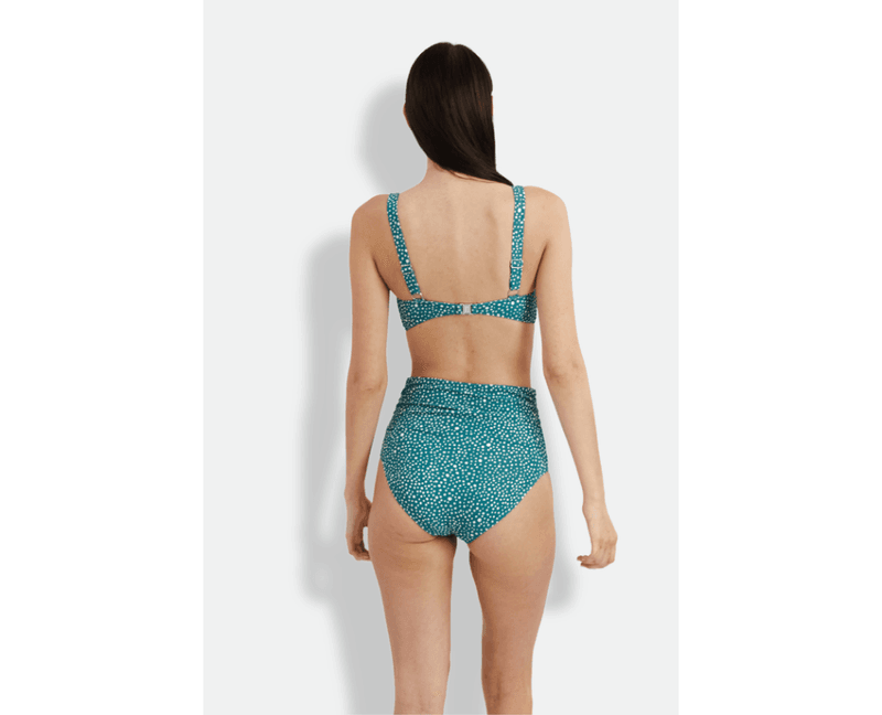 Ditsy Dots Chara Bottom Deep Jungle 