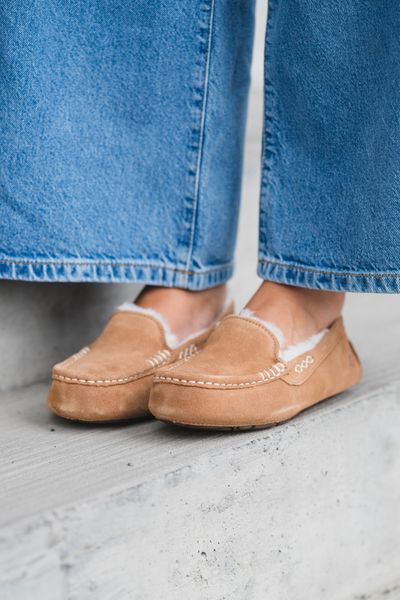Hovedbilde W Ansley Chestnut