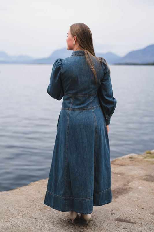 Denim Button-Down Dress French Blue 