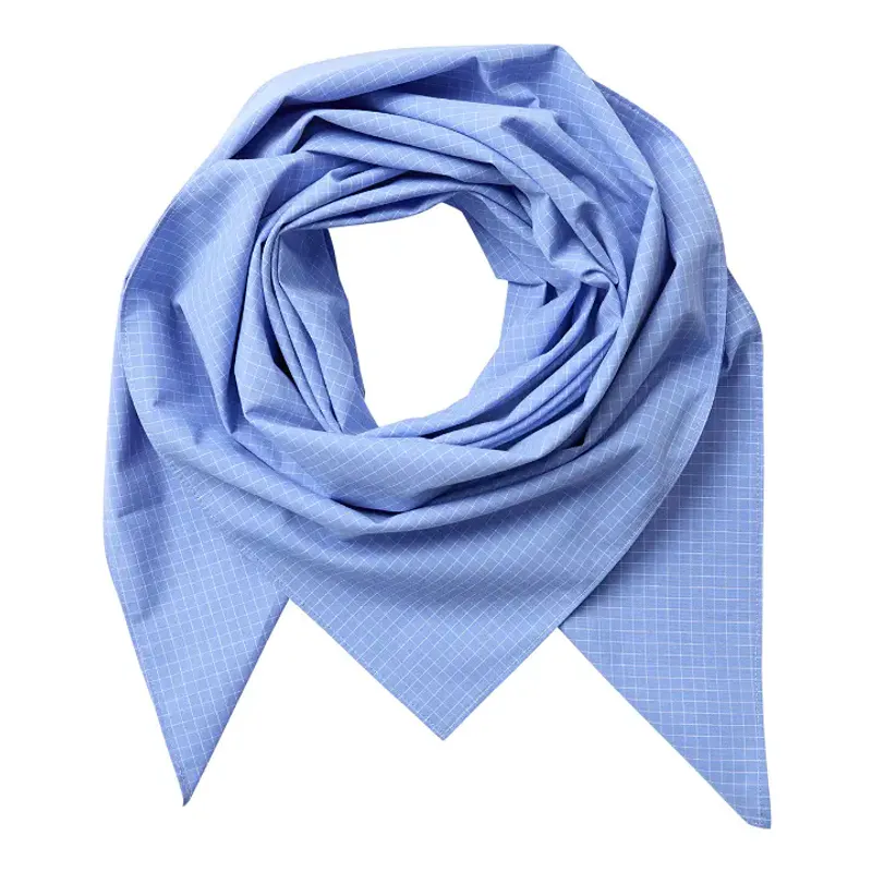 Elona Check Scarf Pale Blue 