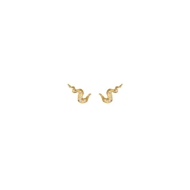 Hovedbilde Era Earrings 