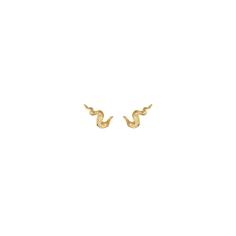 Era Earrings 