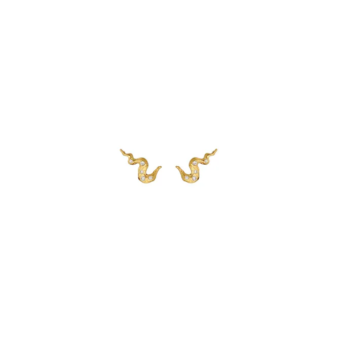 Hovedbilde Era Earrings 