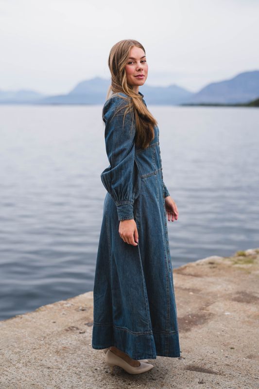 Denim Button-Down Dress French Blue 