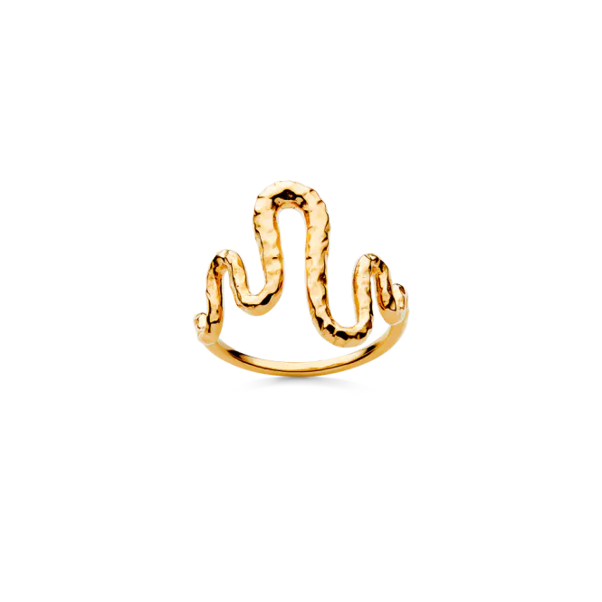 Hovedbilde Viva Ring 