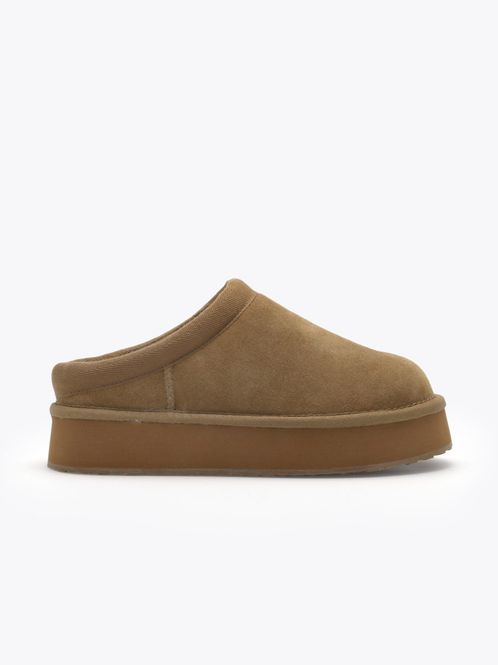 Hovedbilde Cabot Max Camel 
